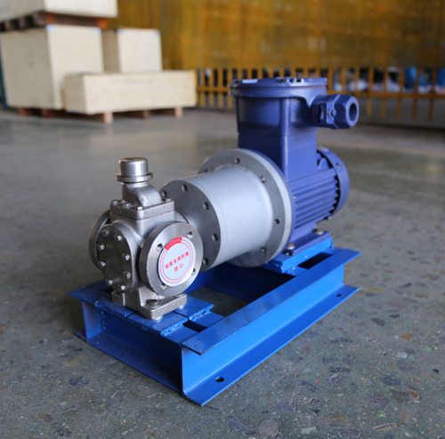 圓弧齒輪泵YCB10-1.6整機(jī)、配磁力聯(lián)軸器.JPG